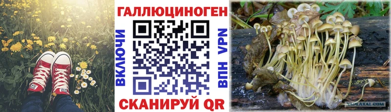 Галлюциногенные грибы Magic Shrooms  Купить  Балашов 